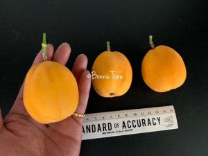 image2_3.jpeg