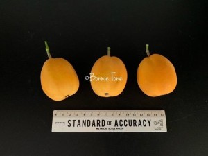 image3.jpeg