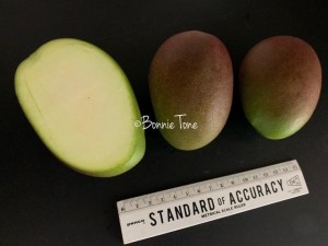 image3_3.jpeg