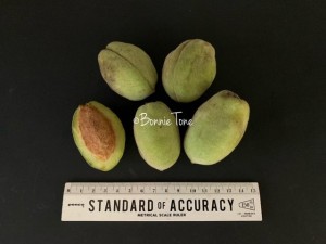 image1_2.jpeg