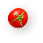 design01_img03