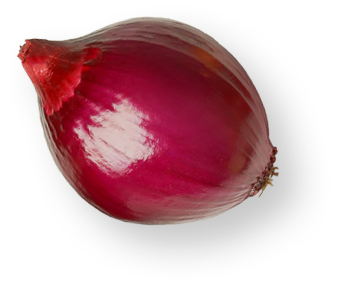 design01_img07