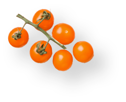 design01_img10