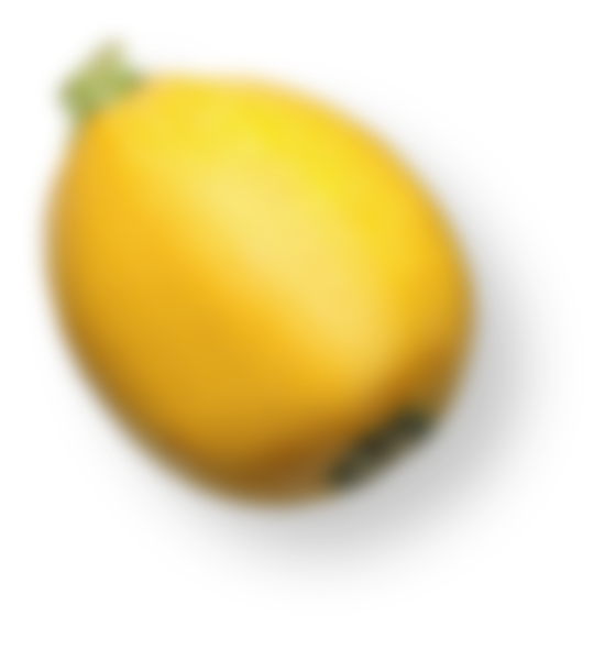 design01_img11