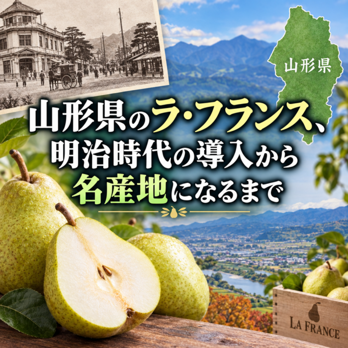 山形県のラ・フランス、明治時代の導入から名産地になるまで