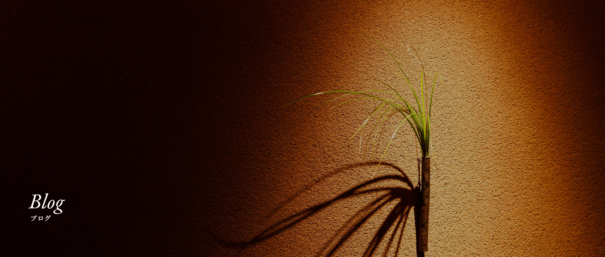 オフィシャルブログ